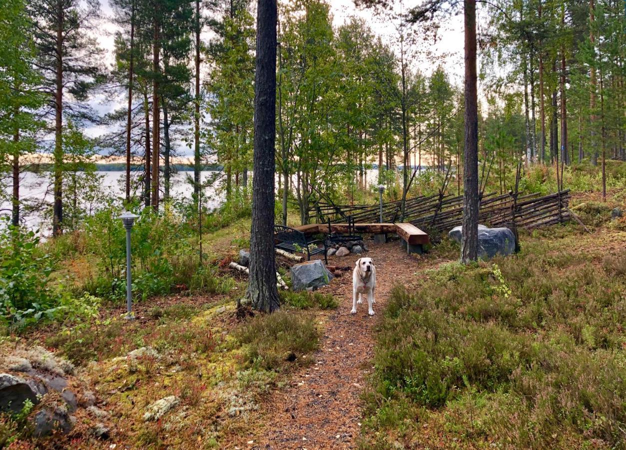Pielislinna Kolinkylä Exterior foto